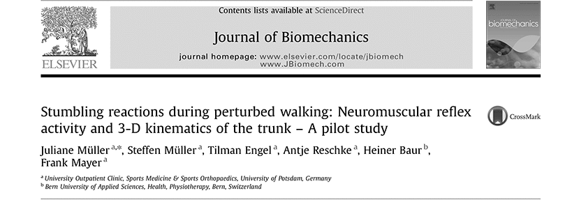 Stumbling reactions during perturbed walking: Neuromuscular reflex activity and 3-D kinematics of the trunk